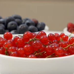 berries-video-lila