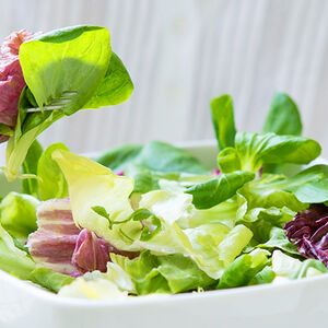 Digestive_Banner