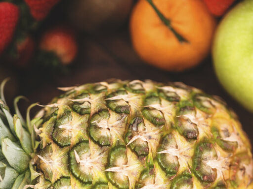 Immunity_Banner